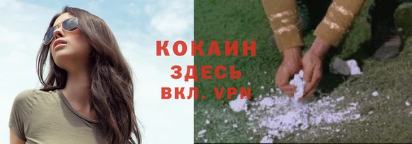 дмт Богородицк