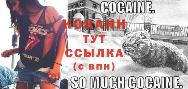 стафф Богородск