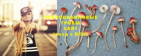 экстази Богданович